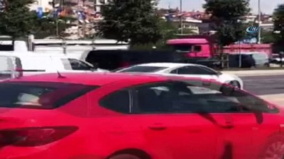  Büyükada'da yaralı halde can çekişen at yürekleri sızlattı 