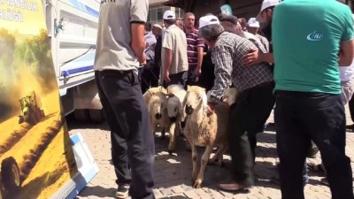  Derbent’te küçükbaş hayvan desteği 