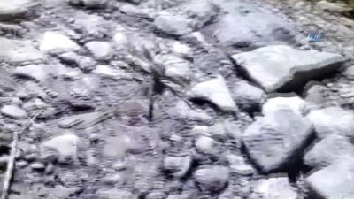  - Et yiyen örümceği görenler hala tedirginlik yaşıyor 