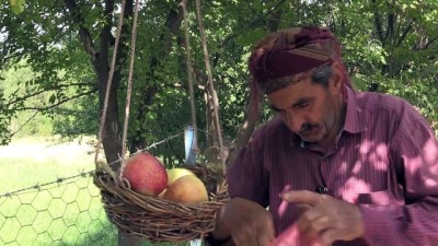 sadaka - Yetiştirdiği meyveleri 'göz hakkı sepeti' ile ikram ediyor - BİNGÖL  Videosu