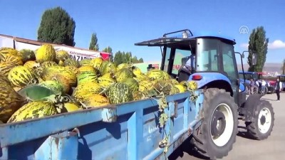 iklim degisikligi - Kahramankazan'da kavun pazarı açıldı - ANKARA  Videosu