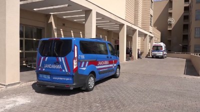 kiz cocugu - Tüfekle oynarken kazara kardeşini vurdu - ŞANLIURFA  Videosu