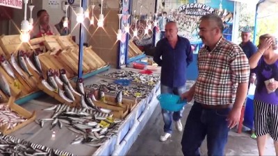 kirim -  Balıkçılar soğuk havayı bekliyor  Videosu