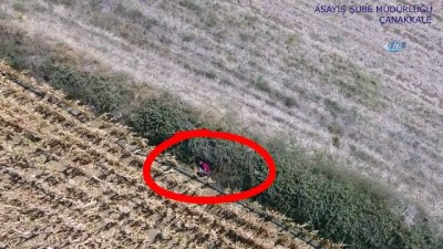 firari hukumlu -  Çanakkale’de drone ile nefes kesen kovalamaca... Çanakkale’de polis firar eden hükümlüyü drone ile yakalandı Videosu