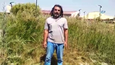  Erciş’te kuş ölümleri hayvanseverleri tedirgin etti