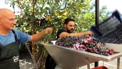 nani -  Gömeç’te üretilen 'balzamik' sirke her derde deva  Videosu