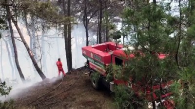 leman - Hatay'da orman yangını (3) - HATAY  Videosu