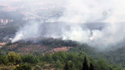 leman - Hatay'da orman yangını (4) - HATAY  Videosu