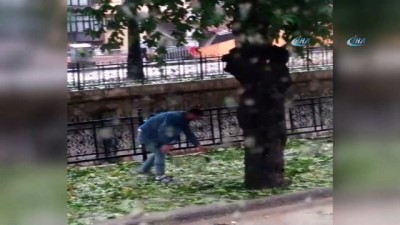 kasko sigortasi -  Kastamonu’da dolu yağışı kuşları telef etti Videosu