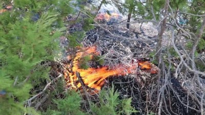  Sivas'ta orman yangını: 15 hektar kül oldu