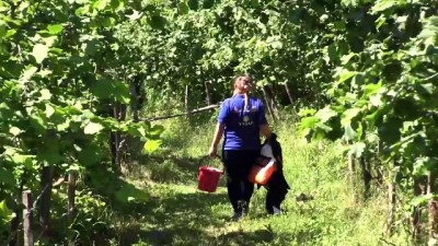 Yaşlılar mahzun bırakılmıyor - ORDU