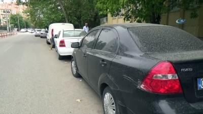  Adıyaman’a çamur yağdı 