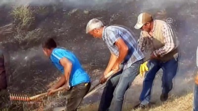 Ağrı Dağı'nda örtü yangını 