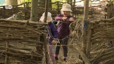 Danimarka'nın orman içindeki kreşleri 