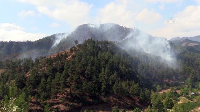 Kahramanmaraş'ta orman yangını 
