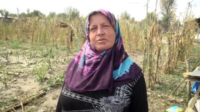 Kastamonu'daki sağanak ve dolunun ardından (2) 