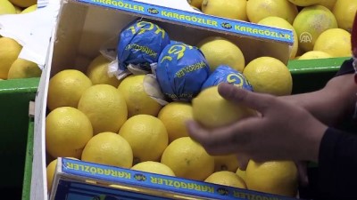 Narenciyede erken hasat, ihracatı artırdı - MERSİN 
