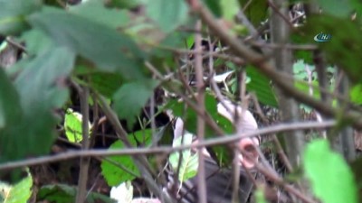  Etlerle birlikte küflü ekmeği bile almışlar 