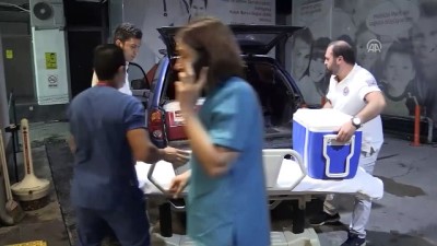 karaci - Gurbetçi kadının organları üç hastaya umut oldu - ORDU  Videosu