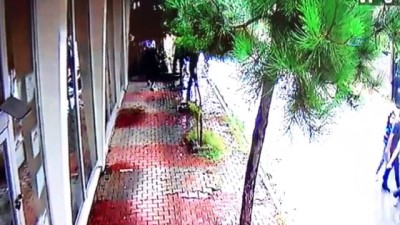  Meyvesini yedikleri 10 yıllık nar ağacını böyle kırdılar 