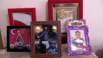 istihbarat birimleri - Şehit annesi Muratdağı: 'Çok şükür Mehmet'imin kanı yerde kalmadı' - KAYSERİ  Videosu