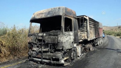 Seyir halindeki tır yandı (2) - AYDIN