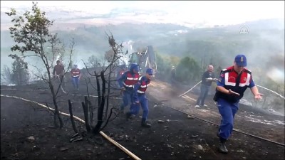 Ağaçlık alanda yangın - BİLECİK