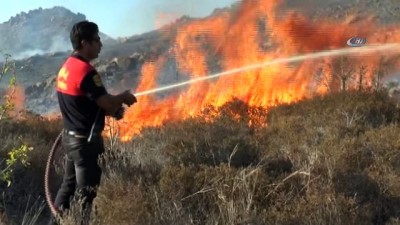 makilik alan -  Bodrum’daki orman yangınına havadan ve karadan müdahale Videosu
