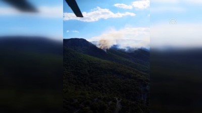 Döşemealtı'nda orman yangını - ANTALYA