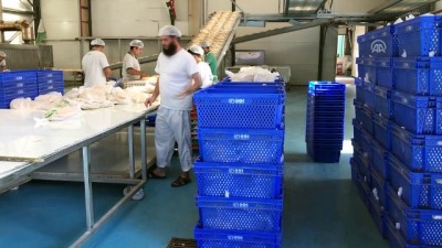 İHH'dan Suriye'ye 8 ayda 250 milyon ekmek - HATAY 