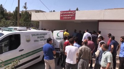 İki otomobil çarpıştı: 3 ölü, 2 yaralı - Adli Tıp Kurumu - ŞANLIURFA 