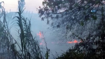  İzmir’de makilik alanda çıkan yangın paniğe neden oldu