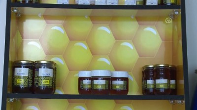 Ordu'dan Almanya'ya bal ihracatı 