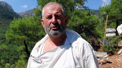 baros - Spil Dağı’nda bal hasadı başladı - MANİSA Videosu