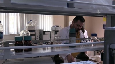 bilim adamlari - Fındık atıklarından kemoterapi ilacı etken maddesi - DÜZCE  Videosu