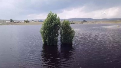 tarim arazisi - Kars Barajı tarıma 'can suyu' olacak  Videosu