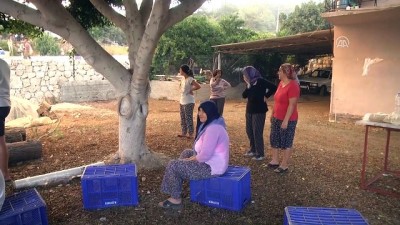 Kumluca'da orman yangını (6) - ANTALYA