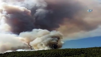  Kumluca’da ormanlık alanda yangın 