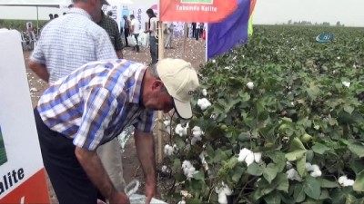 strateji -  MAY Tohum yeni pamuk çeşitlerini 'Bereket Şenliği'nde çiftçilere tanıttı  Videosu
