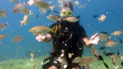  Tekerlekli sandalyeyle dalış yaptı 