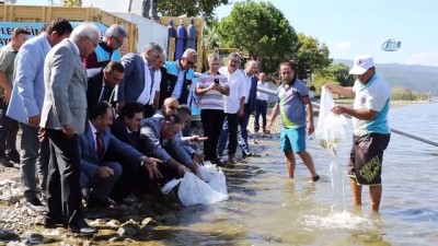 goller -  500 bin balık İznik Gölü ile buluştu Videosu