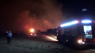 makilik alan -  Didim’deki yangında 200 dekarlık alan kül oldu  Videosu