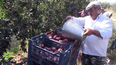 soguk hava deposu - Isparta'da elma hasadı  Videosu