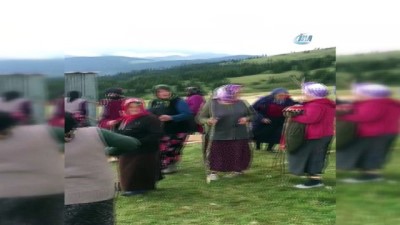  Kadınlar yayladaki kaçak yapıları böyle yıktı 