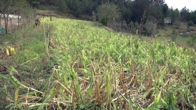 Kastamonu'daki sağanak ve dolu