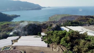 Kumluca'da orman yangını - Drone görüntüleri - ANTALYA 