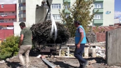  Sağlık merkezindeki 54 yıllık leylek yuvası vinçle taşındı 