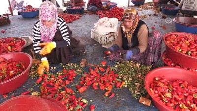 Şanlıurfalı kadınların 'isot' mesaisi 