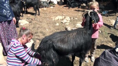  Sevcan'ın eğitim aşkına ne taşımalı sistem ne yaylada çobanlık engel olabildi 
