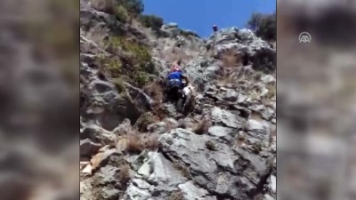 Yamaçta mahsur kalan keçiyi AFAD kurtardı - ADANA